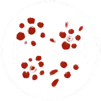 Epidemics
